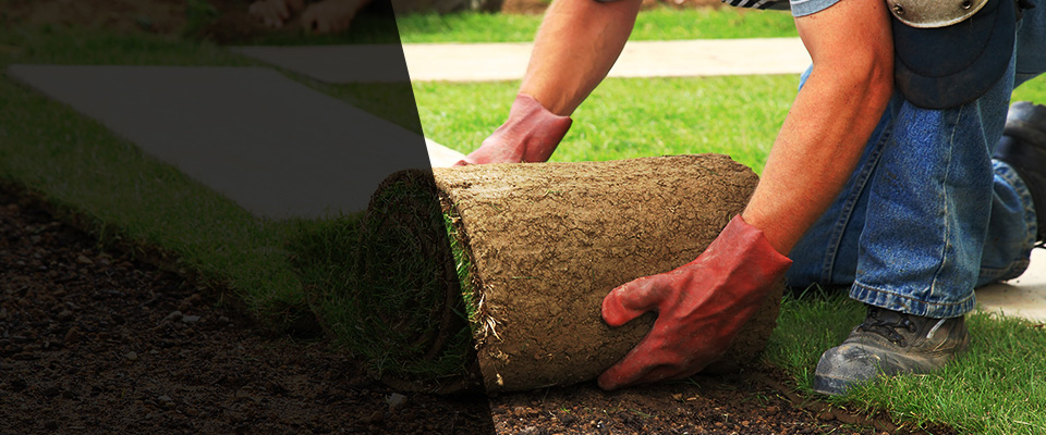 Shell Lake Landscapers